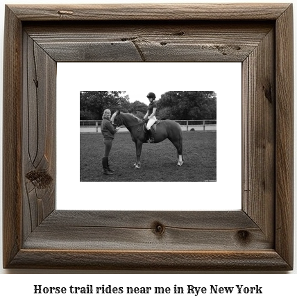 horse trail rides near me in Rye, New York